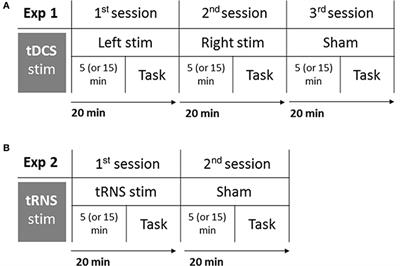 Modulation of Illusory Auditory Perception by Transcranial Electrical Stimulation